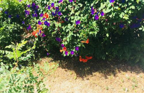 Appart Bianca T2 - Terrasse - Parking - Calme - 1mn de la mer - Photo 42