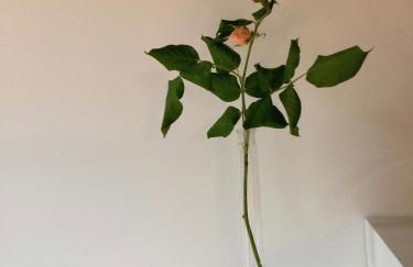 Agriturismo Borgo Buzzaccarini Rocca di Castello - Photo 48