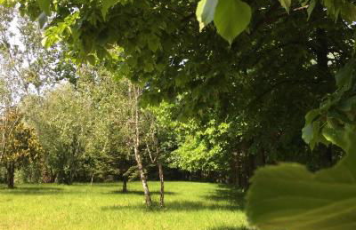 Happy hill - appartamento Bambù- natura e relax - Photo 51