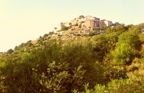 Domaine Victoria - Foto 32