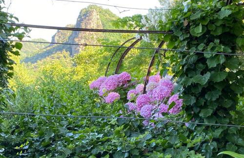 Lodge Villa Maria - Foto 26