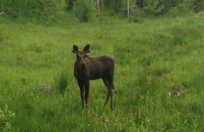 Silverado II Resort & Event Center - Foto 22