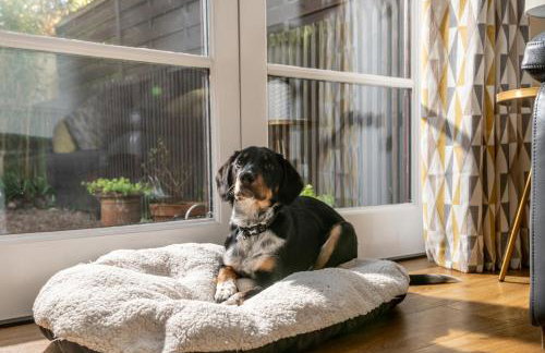 Bulverton House Holiday Cottages - Foto 19