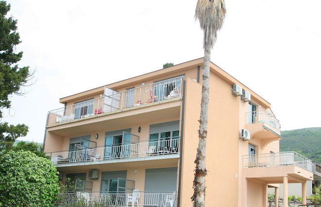 Sea star Danica - Foto 50