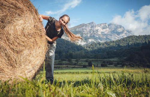 Apartment Serena - Photo 17