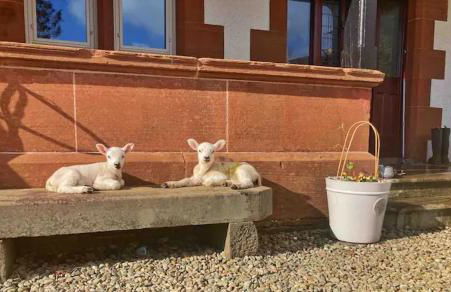 Wagtail Cottage - Foto 18