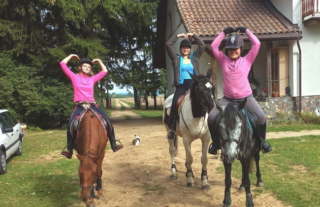 agroturystyka Kurnik Polski - Foto 11