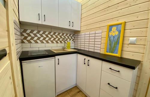 Domek nad stawem - Mazury - Foto 30