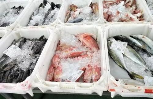 TERRA DO MAR ático nuevo en Costa da Morte, Camino de los faros - Foto 60