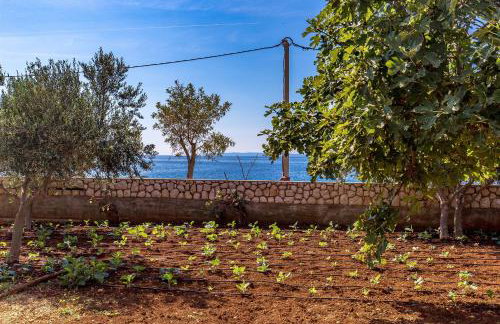 Apartments Ivan Sea View in Peaceful Lun - Photo 30