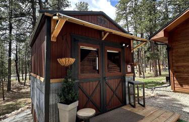 Quaint Rustic Cabin Surrounded by Nature in Black Forest, Colorado - Foto 1