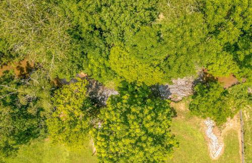 Lil Yellowstone - Foto 16