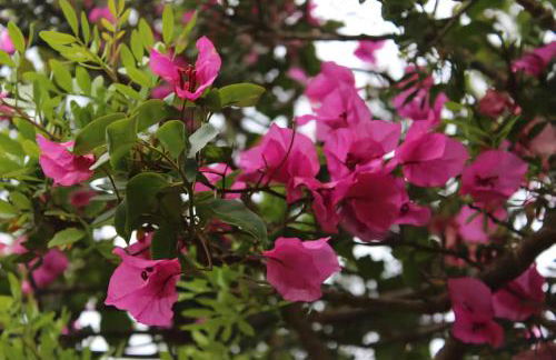 HOLIDAY HOME TORRE DELLE STELLE - Foto 72