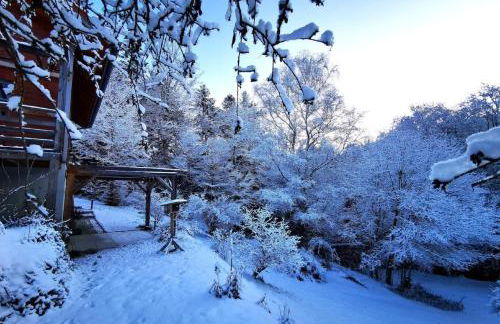 Ferienwohnung am Woid - herrliche Alleinlage - vegane Einrichtung - Foto 20