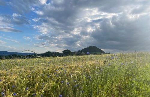 Strudelhof - Foto 14