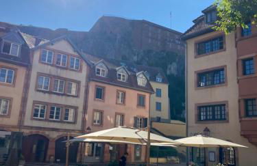 Le Cocon du lion - Foto 14