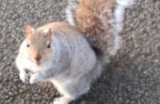 The Parkview House Wakefield - Foto 30