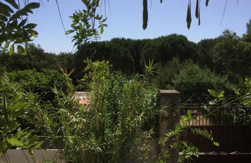 Maison d'Elie - Foto 14