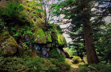 FreiRaum Panorama-Appartement mit Pool & Sauna - Foto 26