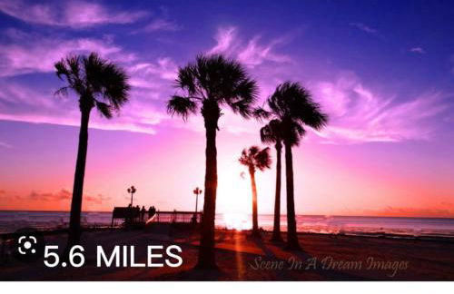 Bonne Nuit Weeki Wachee - Foto 29