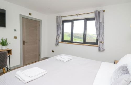 Barcud Coch - Red Kite - Photo 17