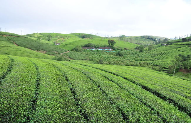 Kudaram County Resort - Foto 54