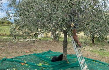 Tramontana Casetta - Foto 31