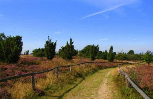 Haus Petersen - Foto 35