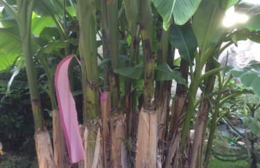 Haus Gisela - Foto 28