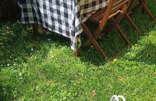 BenedettaMolinaseca VuT - Foto 36