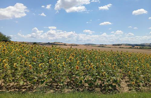 Agriturismo i Due Mori - Foto 8
