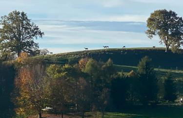 Casa Natur Pur, 85m2 mit Garten Sauna - Foto 56