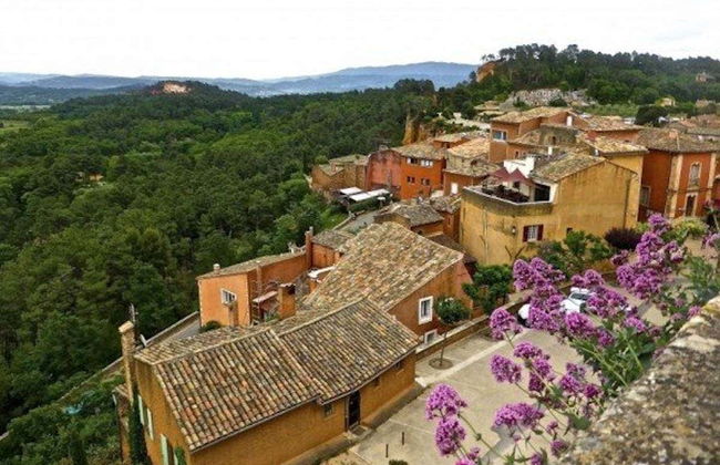 Excursion à la découverte de la lavande à Sault - Photo 3
