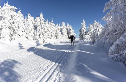 Ferienhaus AUSZEIT - Foto 52