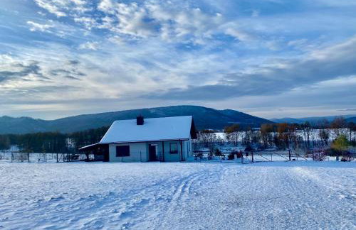 Zaczarowane Wzgórze - Domek w Beskidach - Foto 34