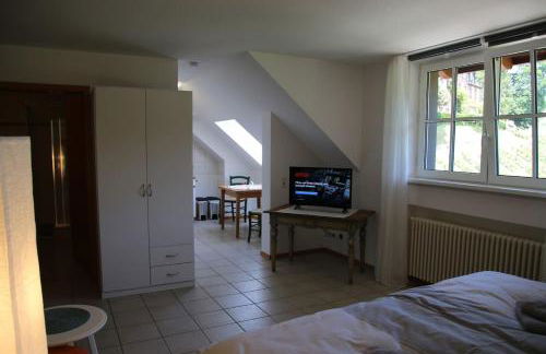 Wein Lodge Durbach - Schlossblick - Foto 20