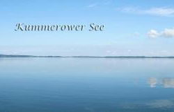 Schneckenhaus - Foto 26