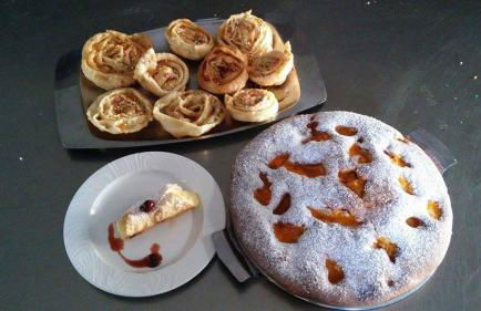 Agriturismo Terra Di Elea azienda agricola di Raimondo MIchela - Foto 50