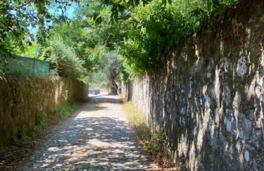 Casa do Cruzeiro do Outeiro -comfort and tradition - Foto 20