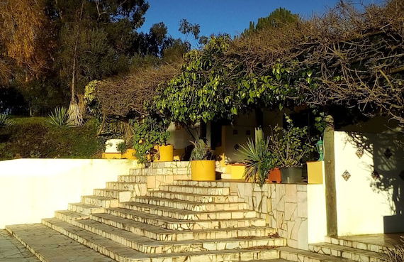 Farmhouse Dreams: Explore and Relax - Foto 26