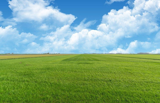 Holiday Home in Burgerbrug Near the Beach - Foto 42