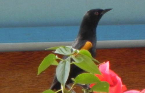 Paraiso em Piracaia - Belíssima Chácara - Photo 32