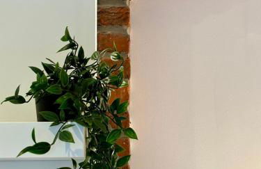 Le Petit Hainaut, hyper centre - Foto 19