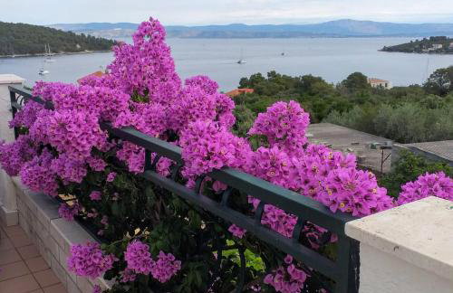 Apartman Karlo - Foto 1