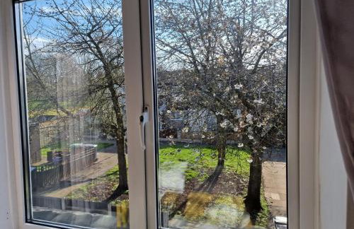 Spacious & comfy Home- very close to NEC Birmingham ,HS2 & Airport- Perfect for contractors & groups- free parking & Fast WiFi - Foto 11