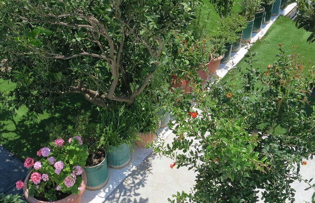 Room-andoni's House in Pitrofos Andros i - Foto 20