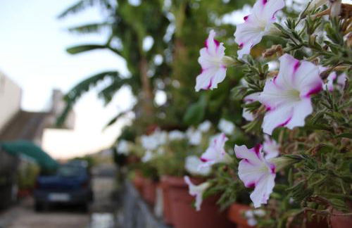 Il Belvedere vicino Taormina - Foto 27