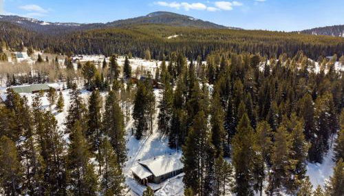 Dreamcatcher - Foto 4