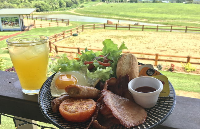 Kur Cow farm - Foto 18