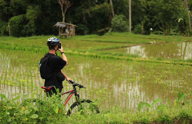 Balade à vélo à Ubud et Kintamani - Photo 2